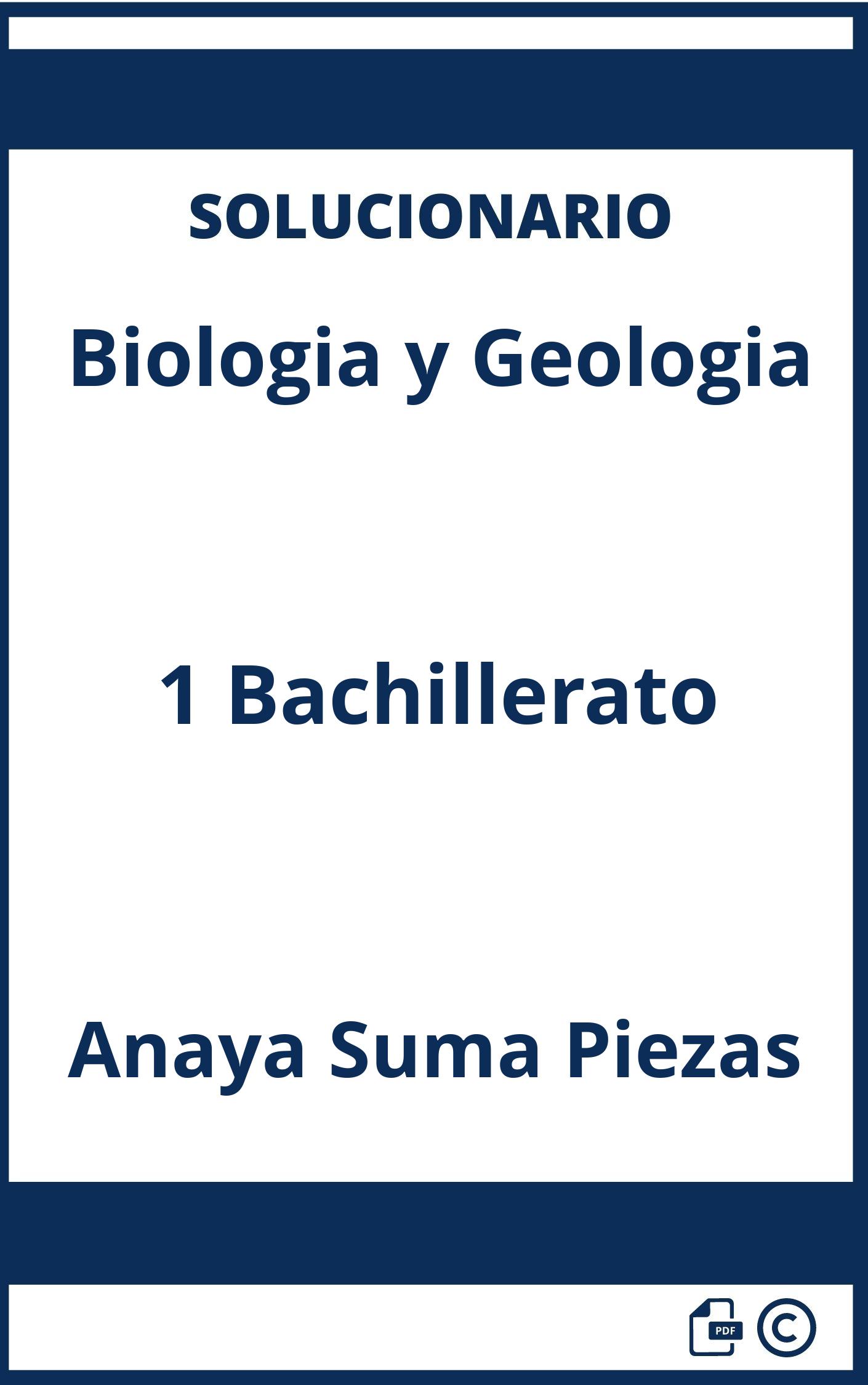 Solucionario Biologia y Geologia 1 Bachillerato Anaya Suma Piezas